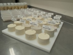 Test neuer Sojasorten auf Tofueignung. Foto: Taifun Tofuprodukte